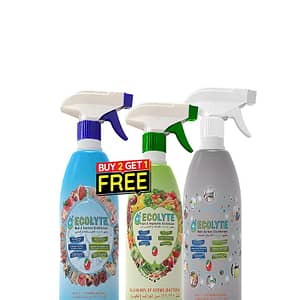 ECOLYTE + All in one Disinfectant Bundle ( 1Litre)