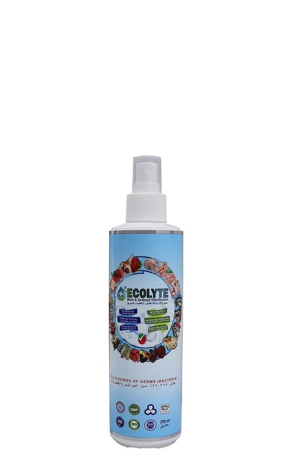 ECOLYTE MEAT AND SEAFOOD DISINFECTANT 250ML (NATURAL SPRAY DISINFECTANT)