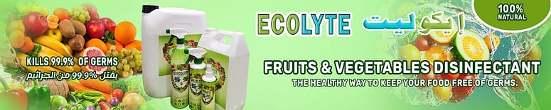 Ecolyte + Fruit & Vegetable Wash
