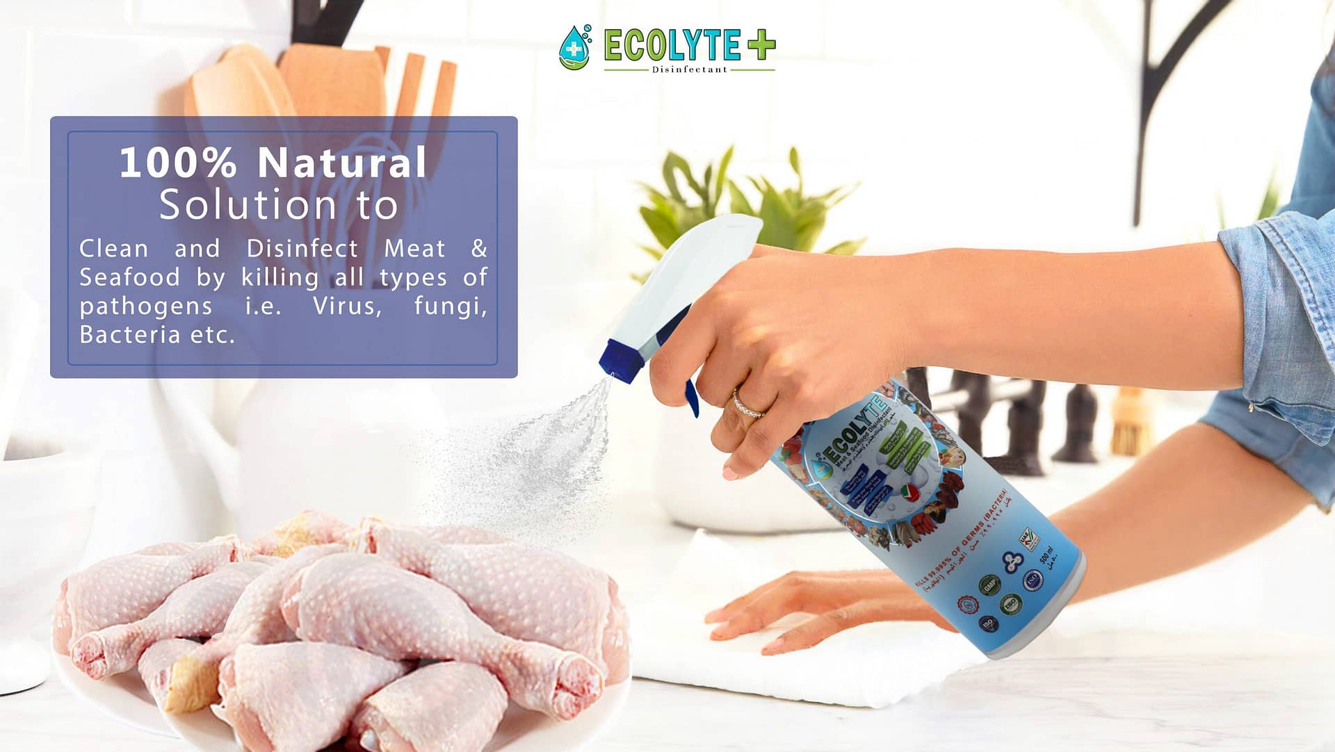 ECOLYTE MEAT AND SEAFOOD DISINFECTANT