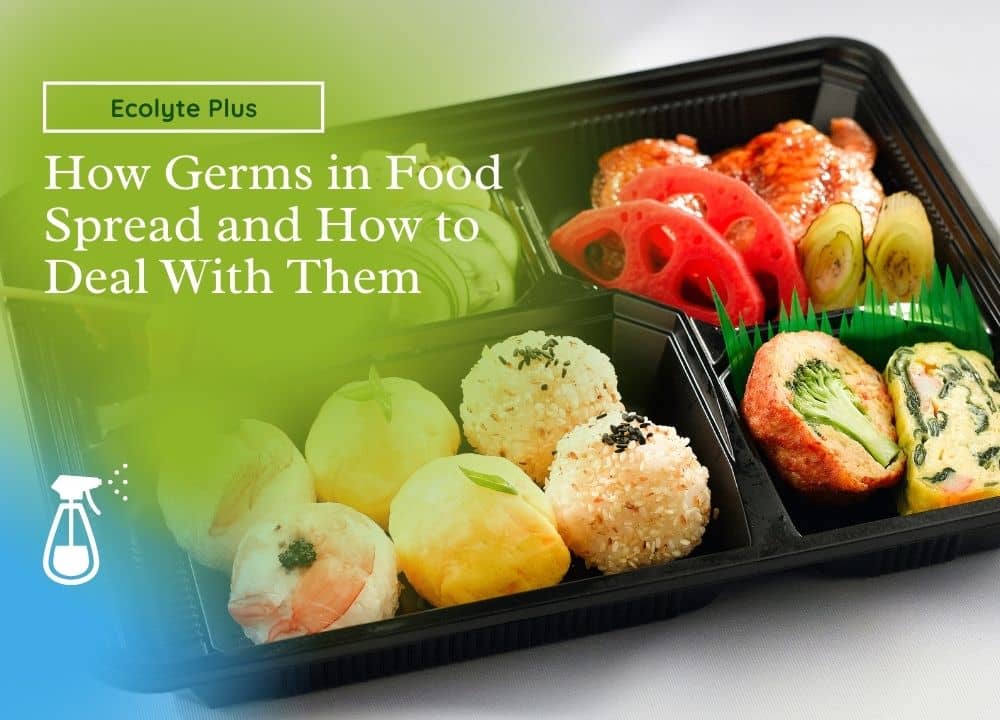 HOW GERMS SPREAD IN FOOD AND 4 SOLUTION TO DEAL WITH THEM